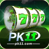PK11 Game