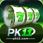PK11 Game