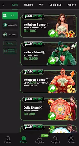  PakPlay Game 